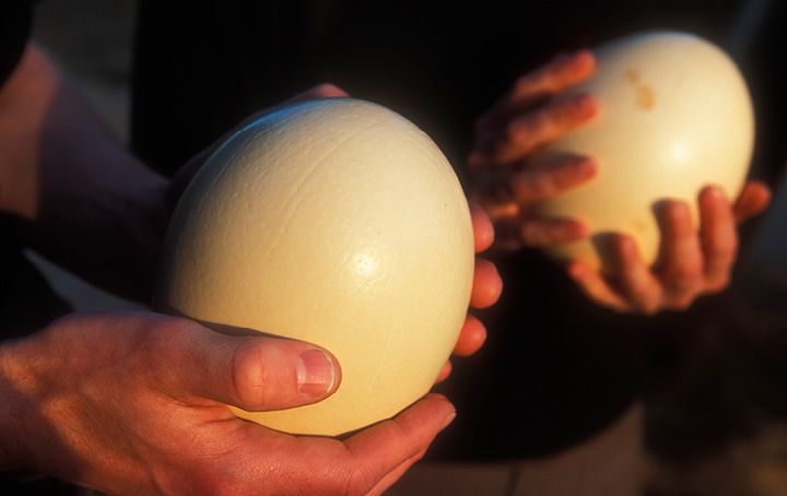 SMSFs differ from other funds